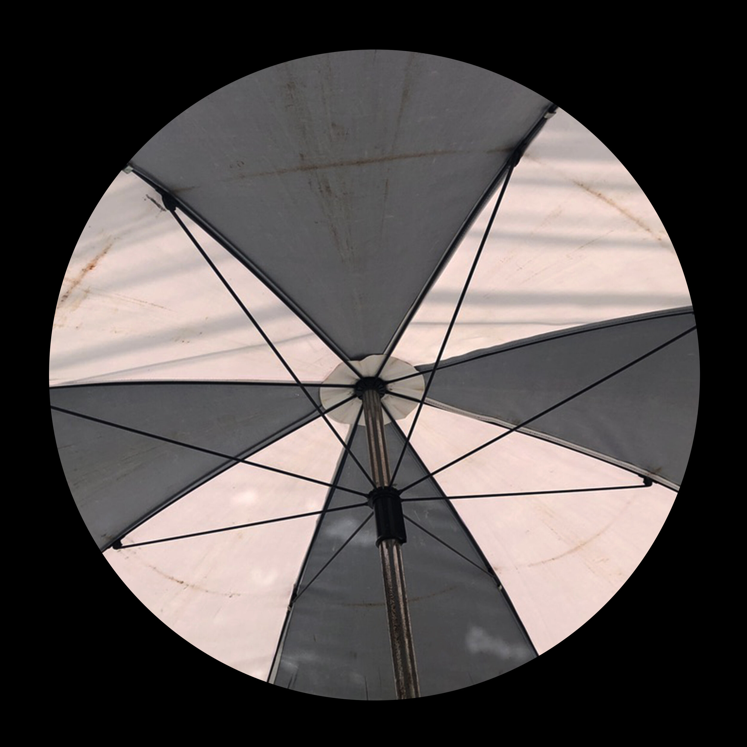 umbrellas_inner_03.jpg