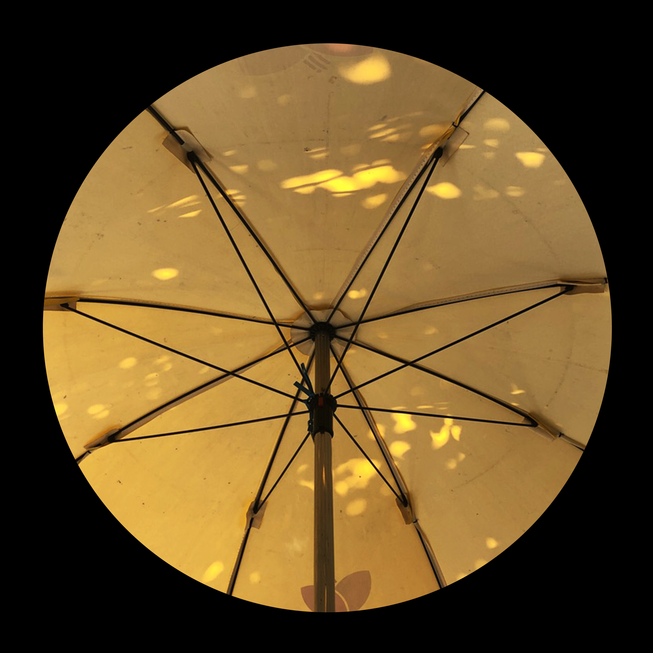 umbrellas_inner_06.jpg