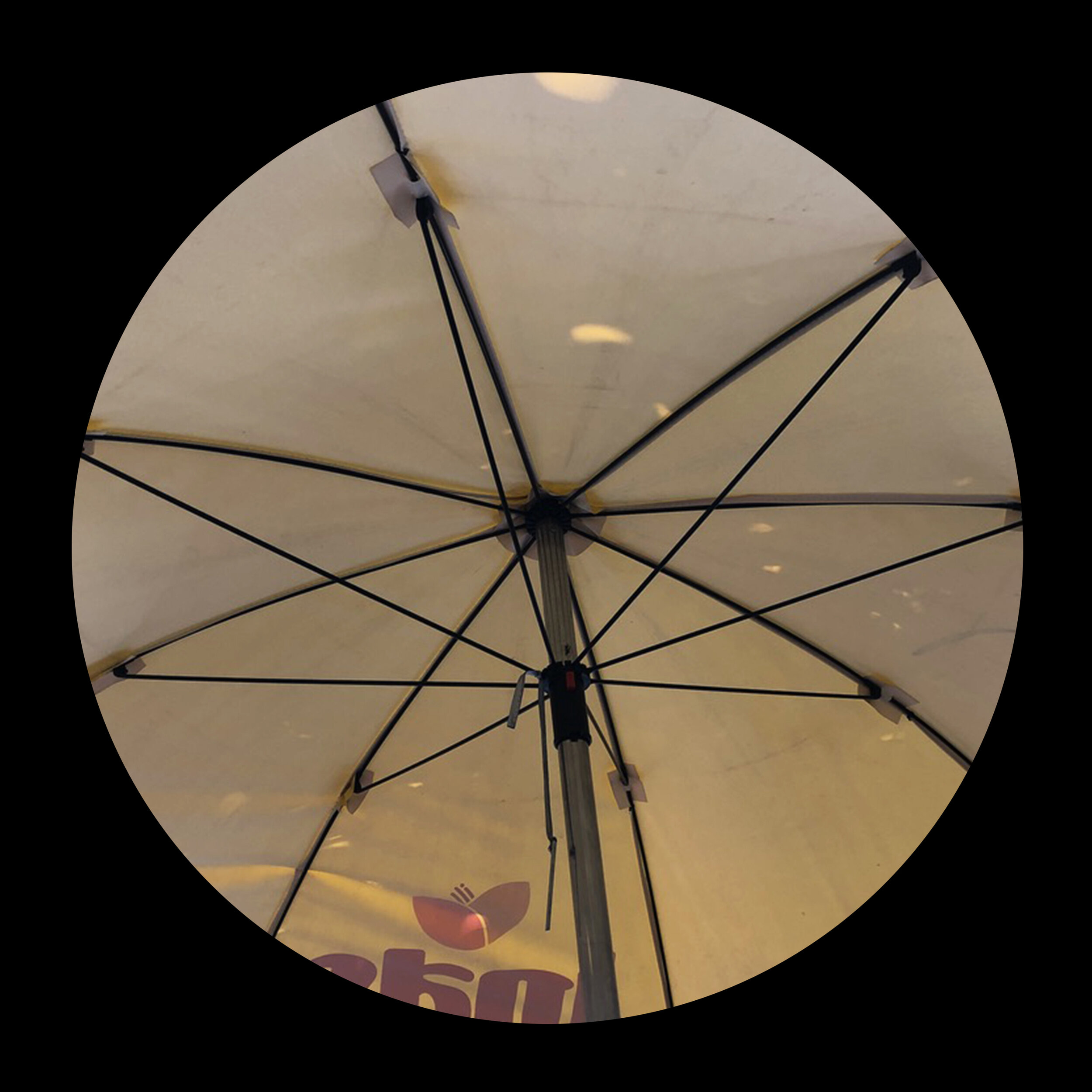 umbrellas_inner_09.jpg