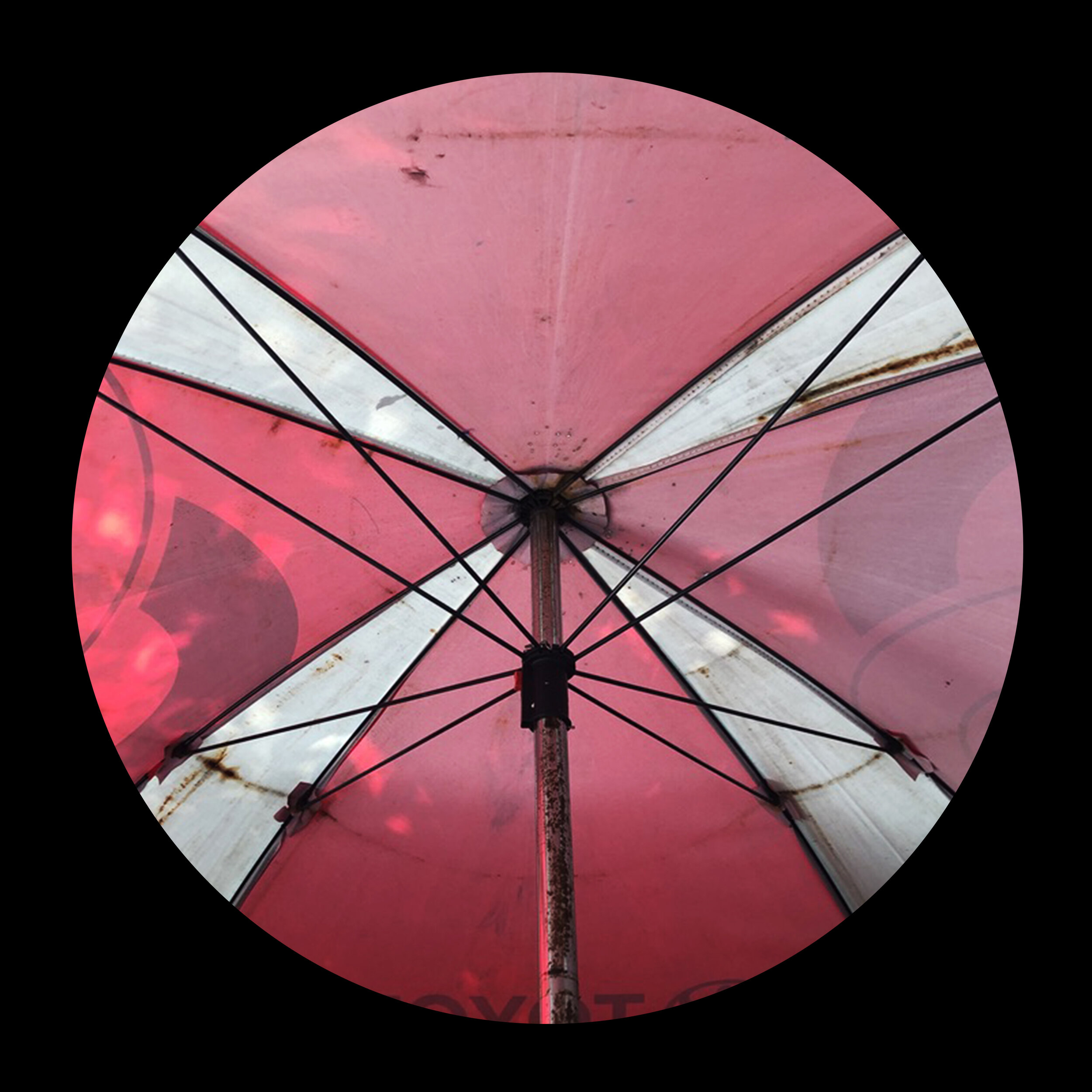 umbrellas_inner_16.jpg