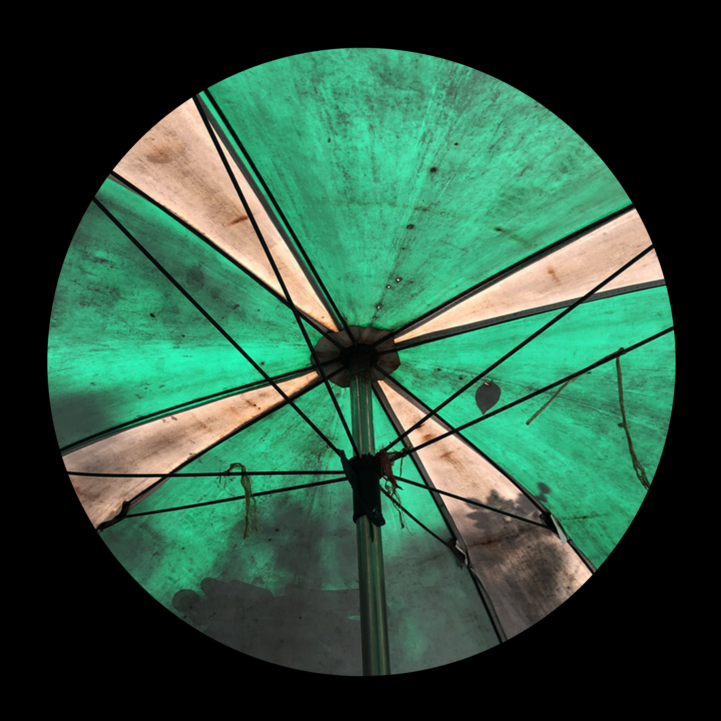 umbrellas_inner_18.jpg