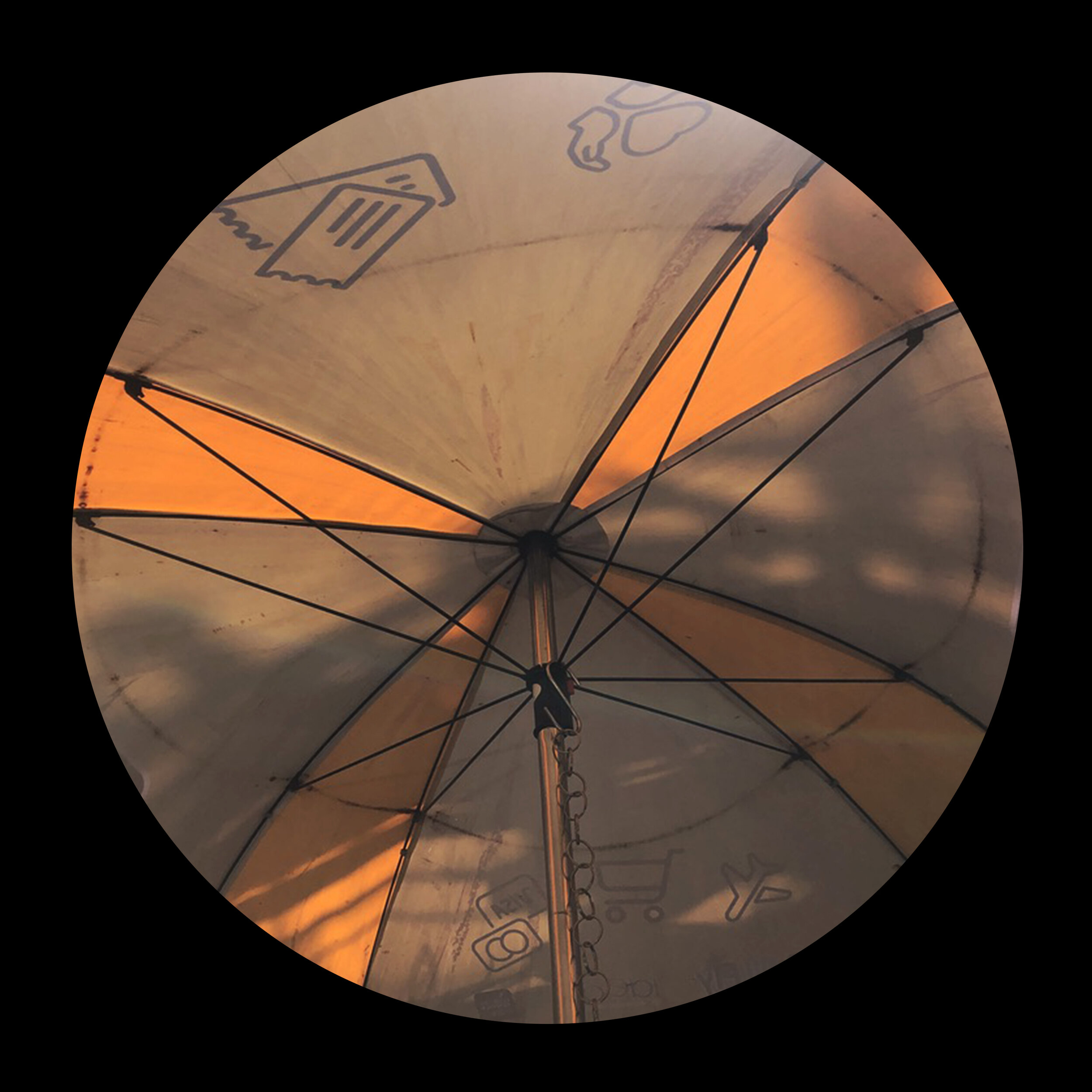 umbrellas_inner_23.jpg