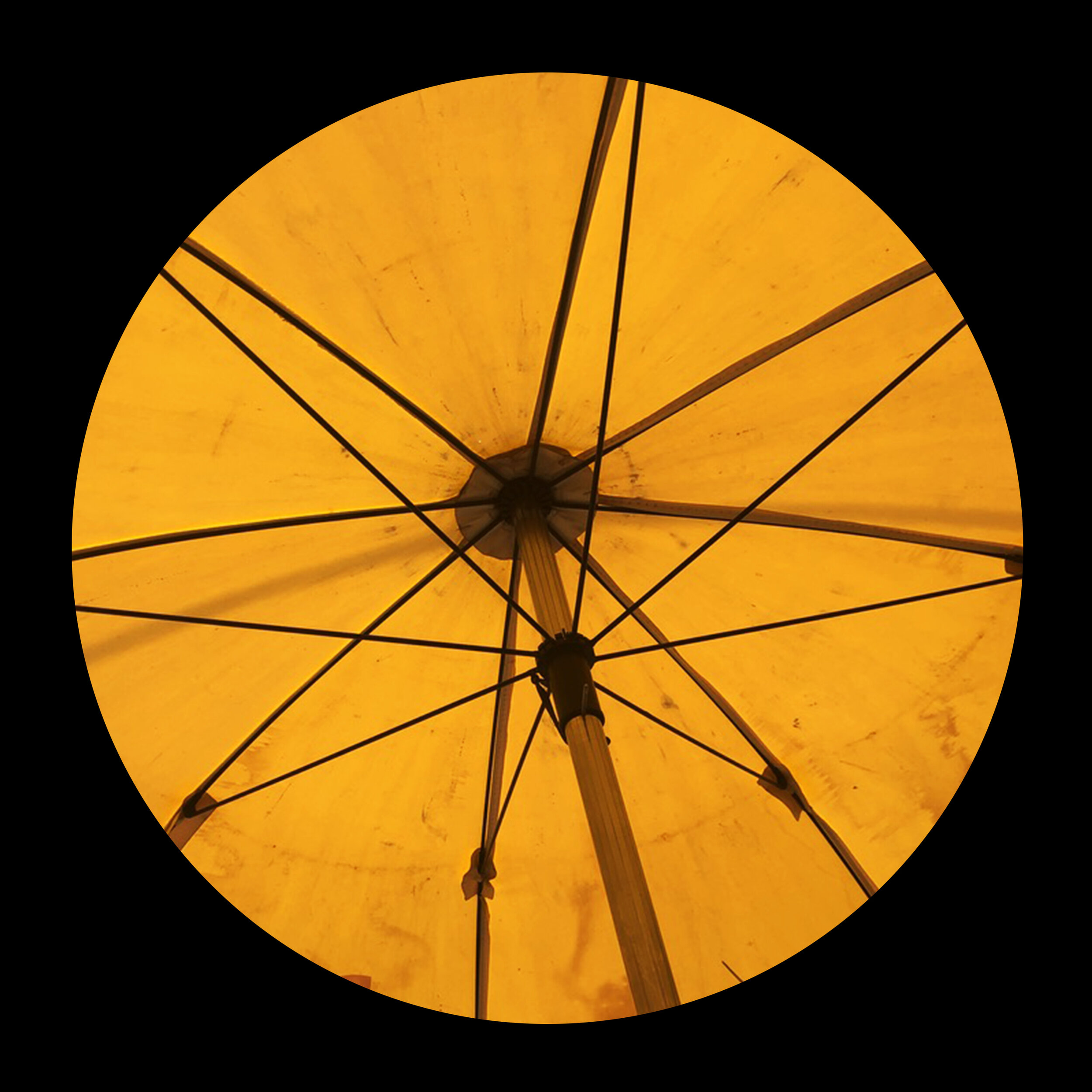 umbrellas_inner_29.jpg