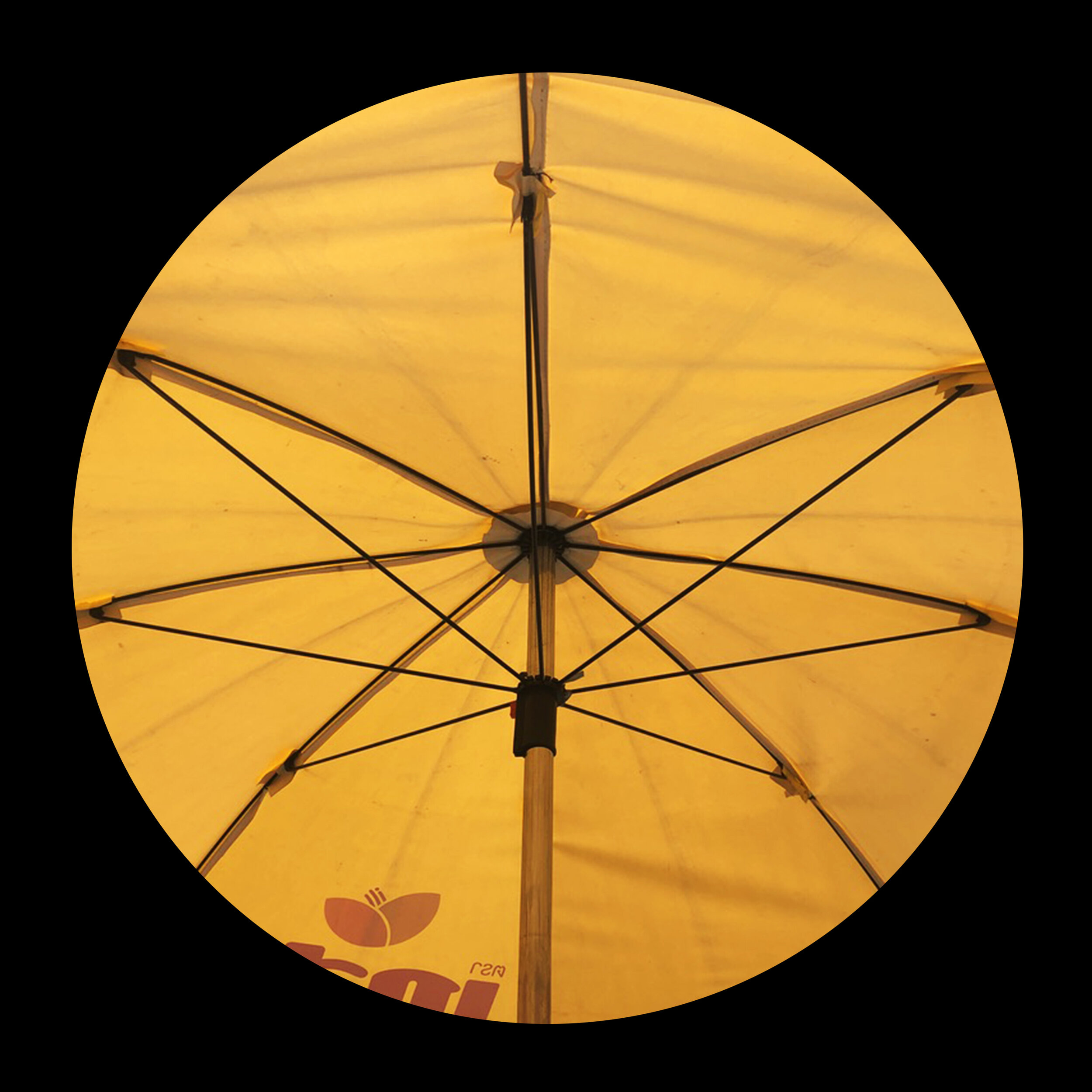umbrellas_inner_31.jpg
