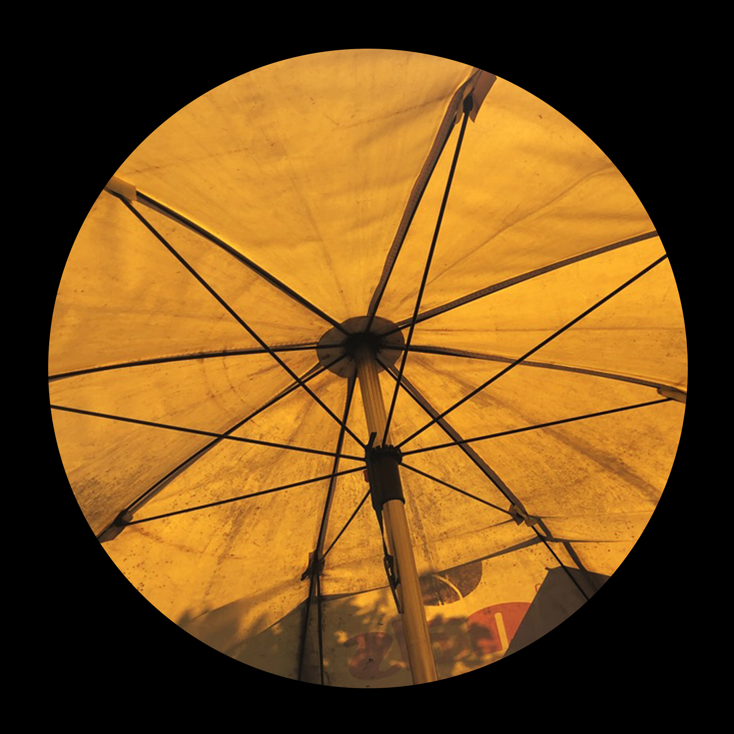 umbrellas_inner_39.jpg