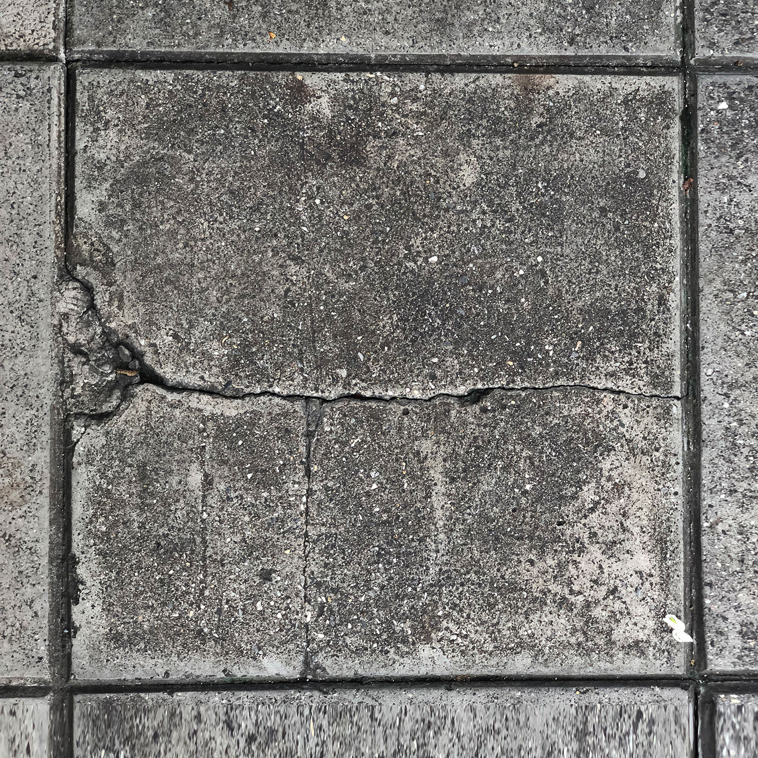cracked_sw_026.jpeg