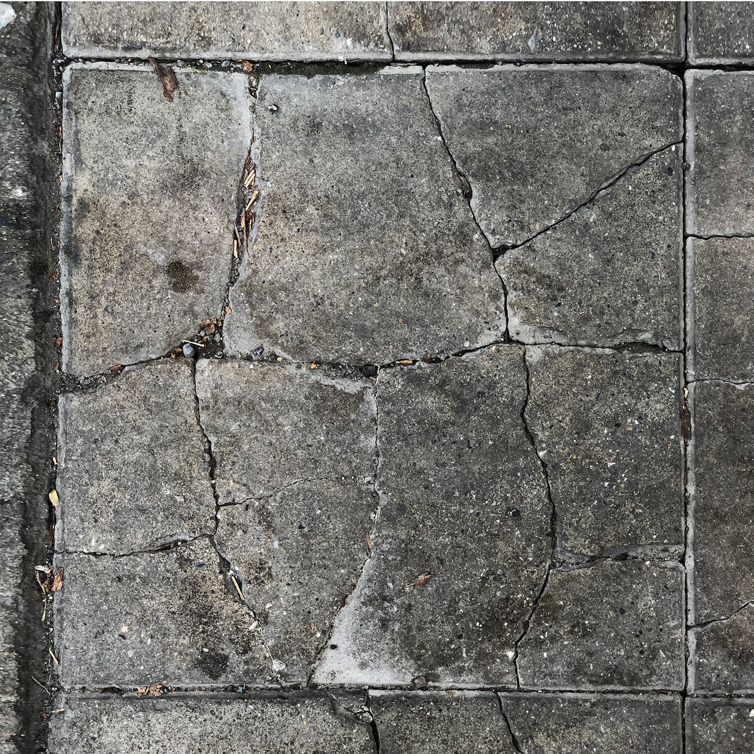 cracked_sw_072.jpeg