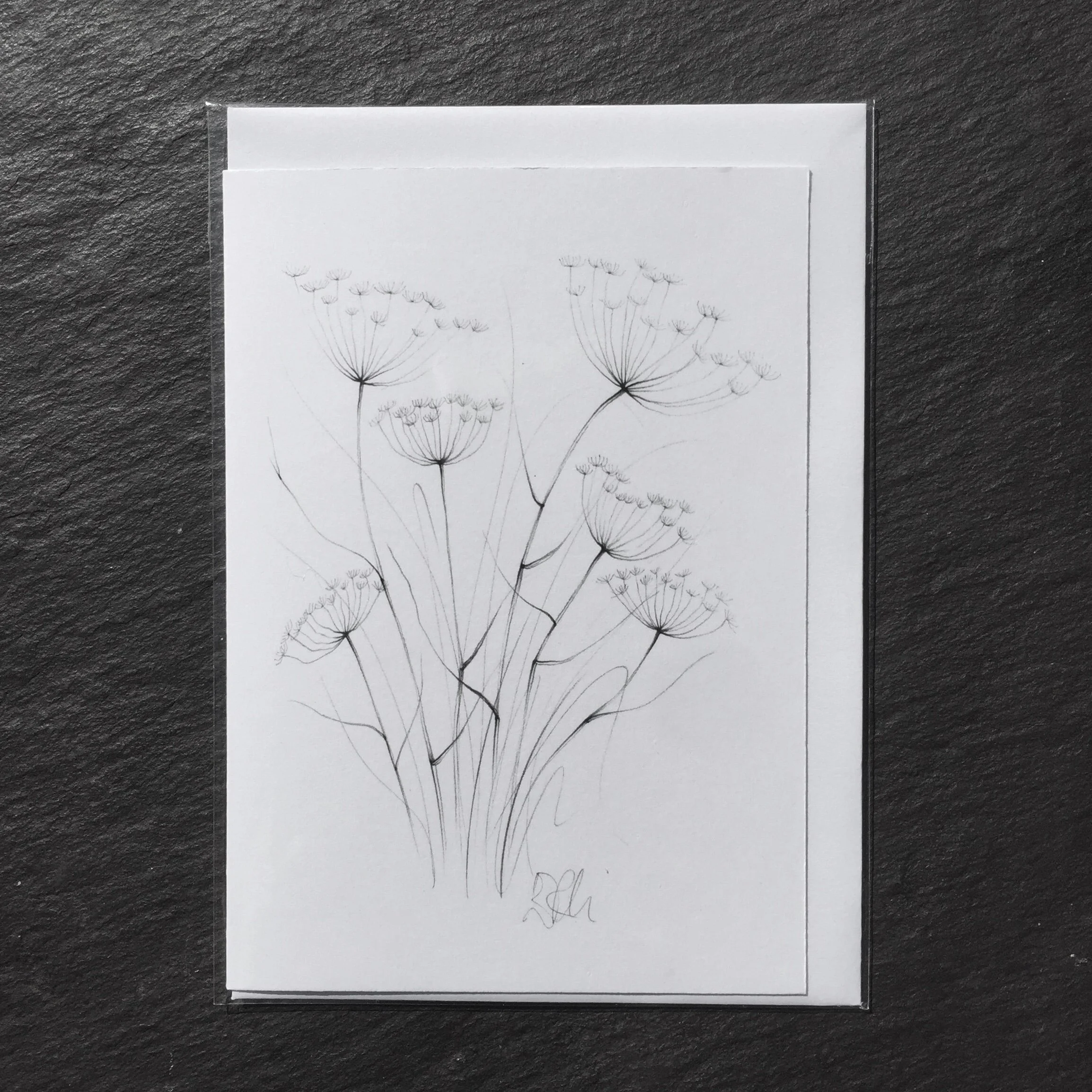 buzz cow parsley card.jpg