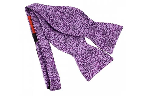 Bowtie_Chrysanthemum_purple_2.jpg