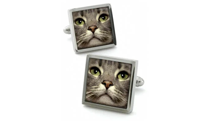 Cufflinks_cat.jpg