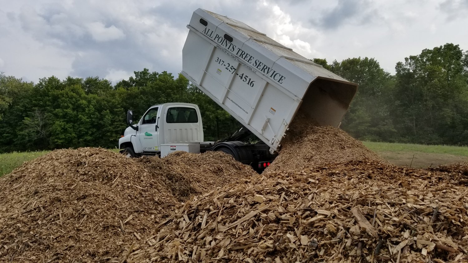 Tree Services Greensboro