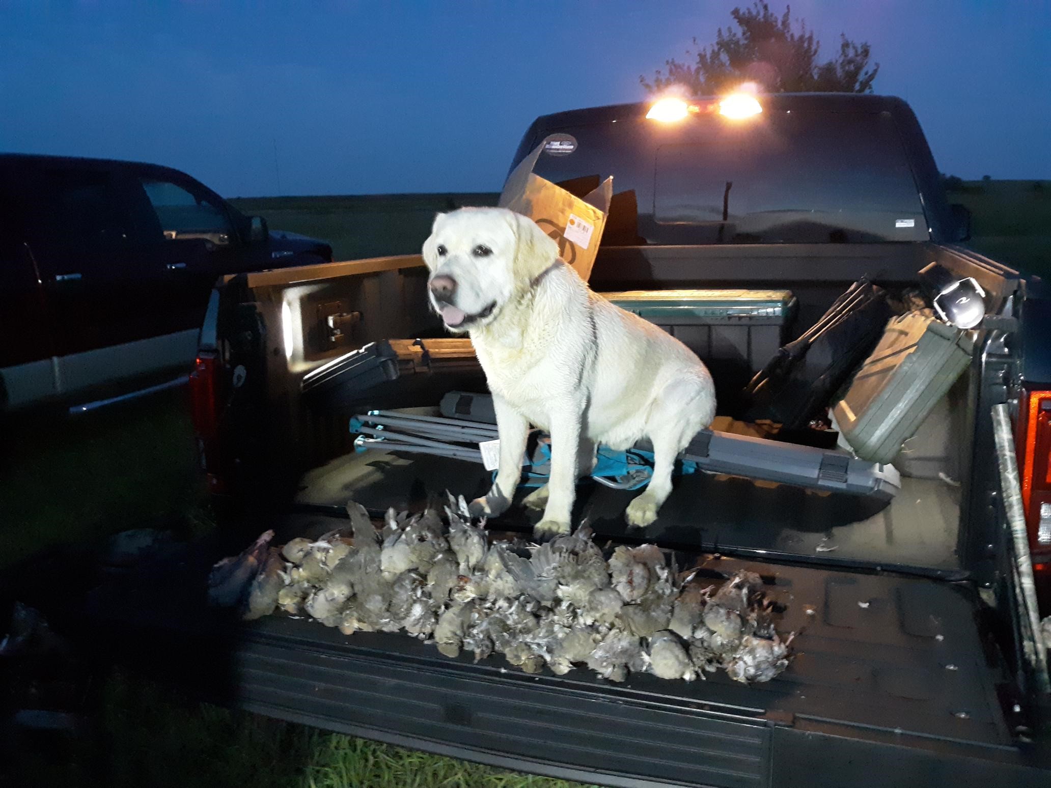 This was a successful hunt!