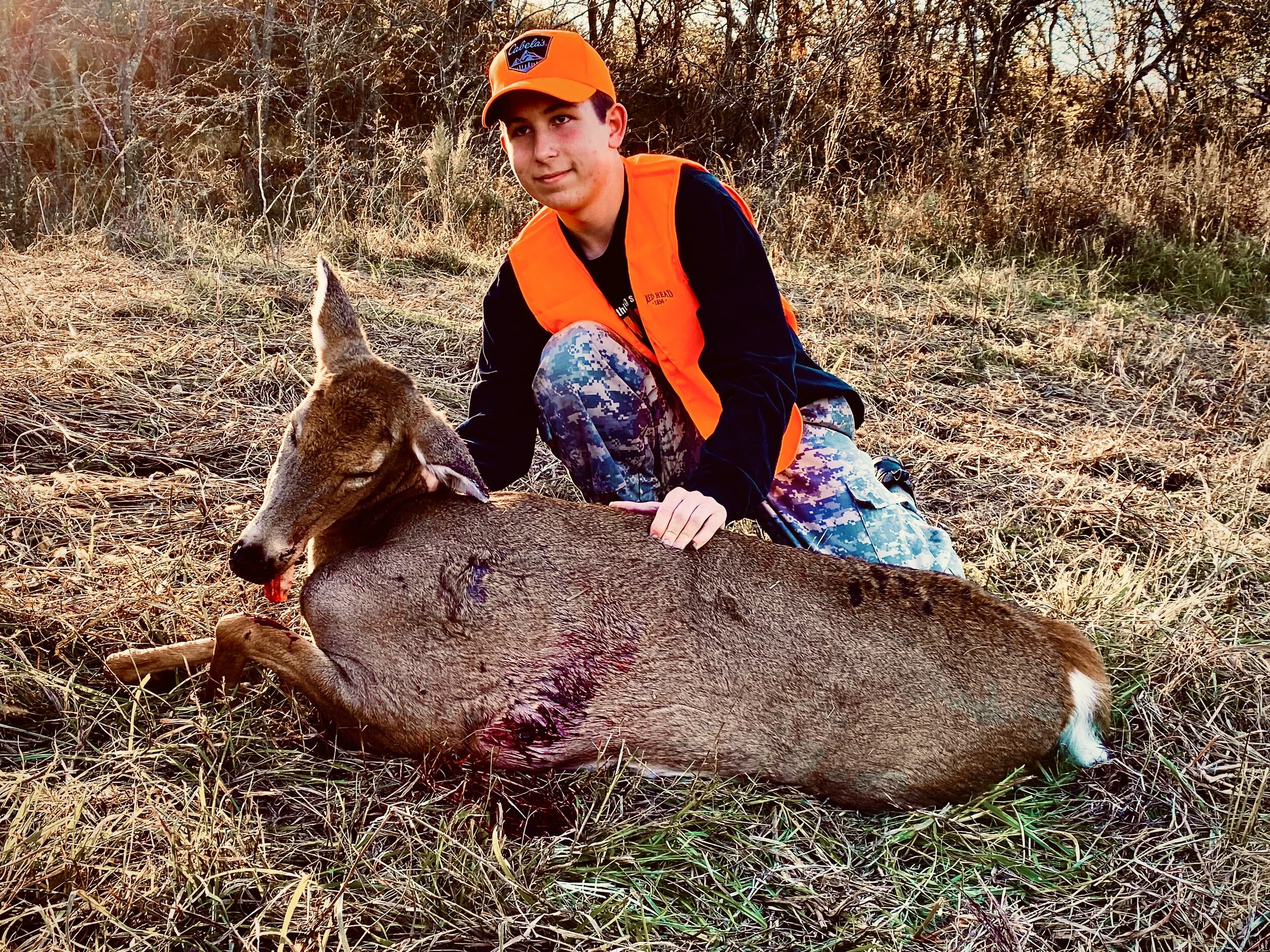 Hanger Bog Deer Sunday Hunt