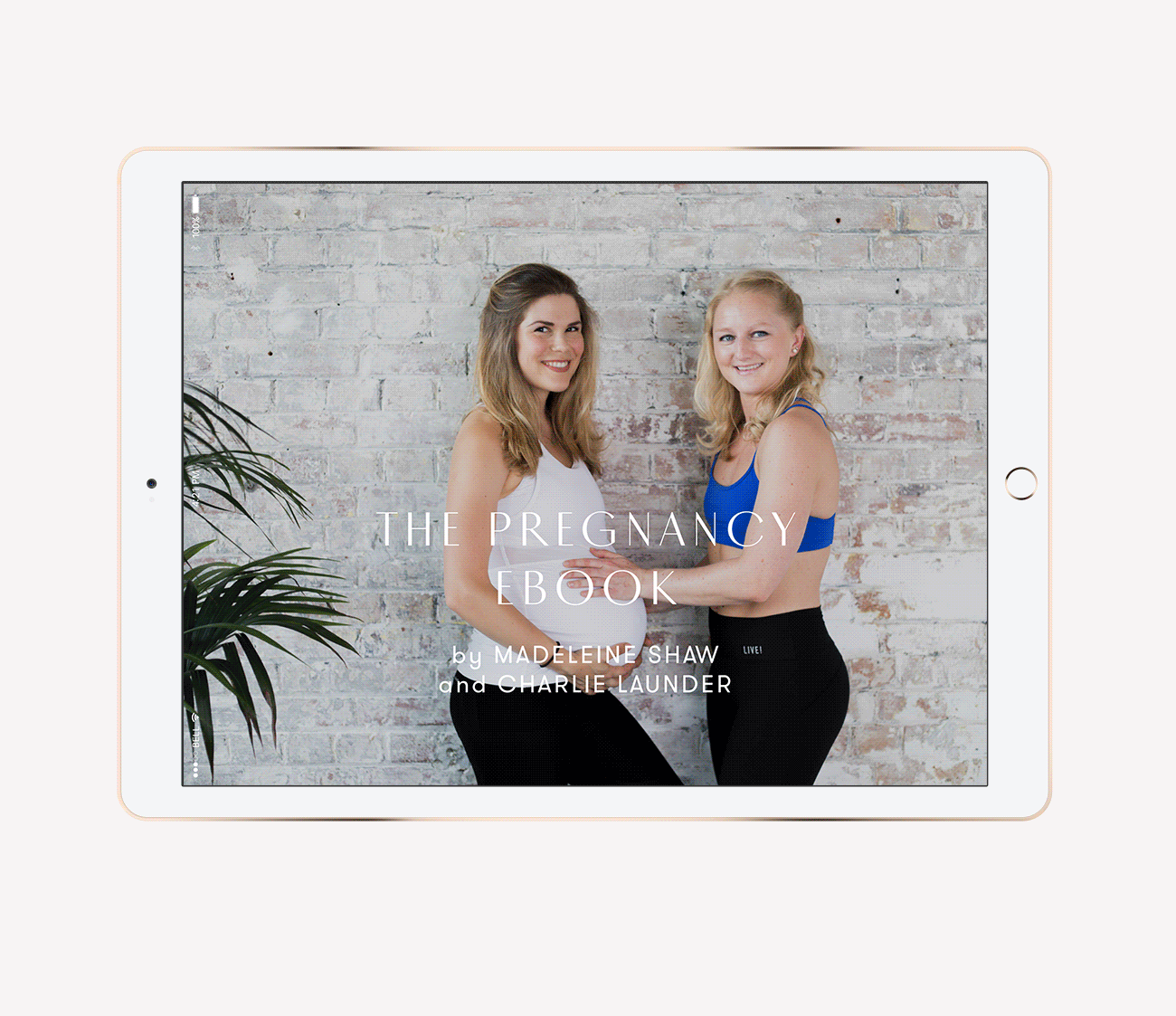Madeleine-Shaw-Ebook-Sneak-Peak.gif