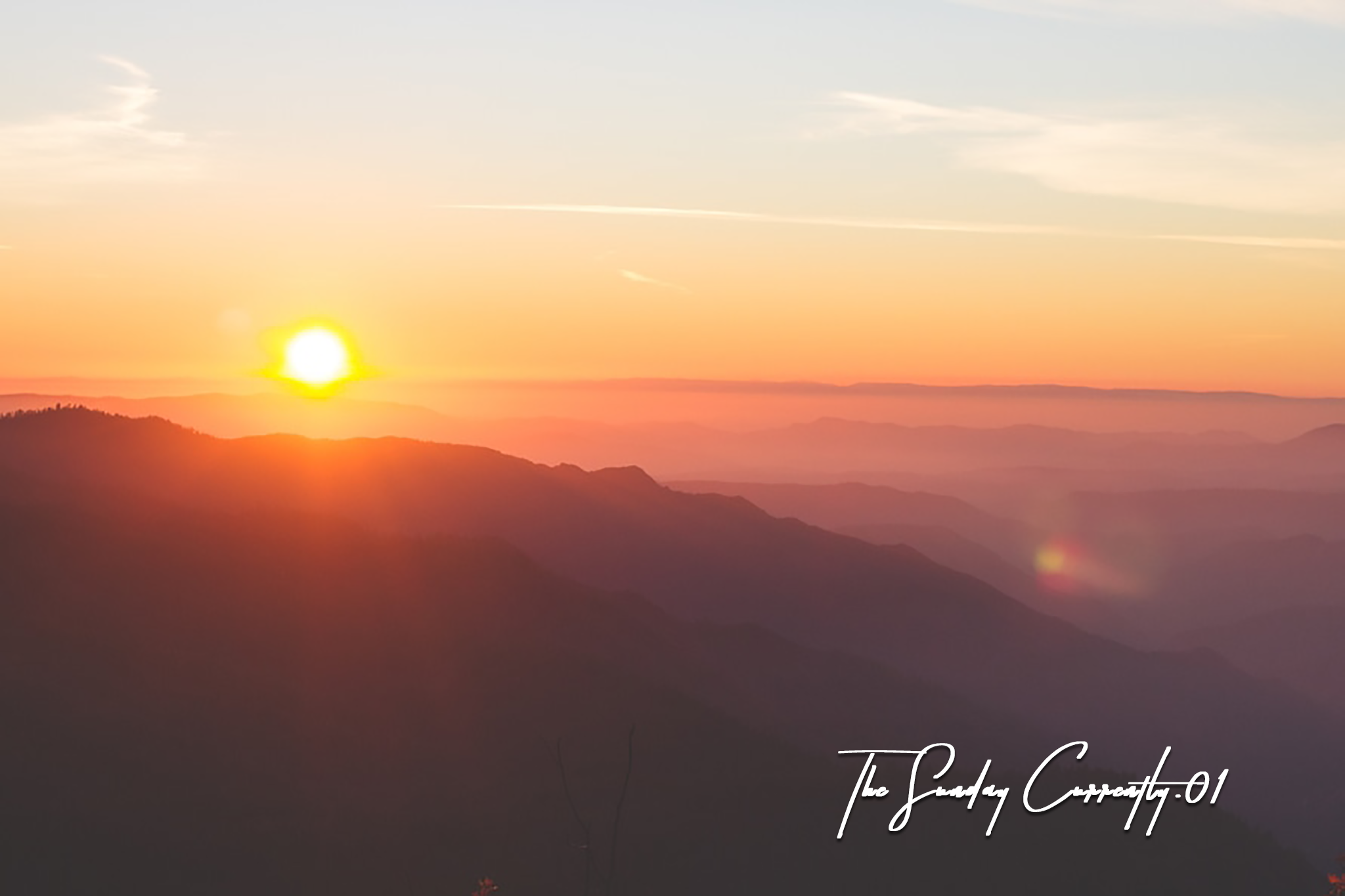 pexels-photo-30613-large.png