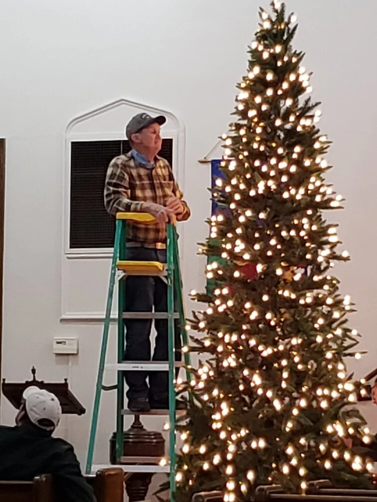 Setting up one of many trees!