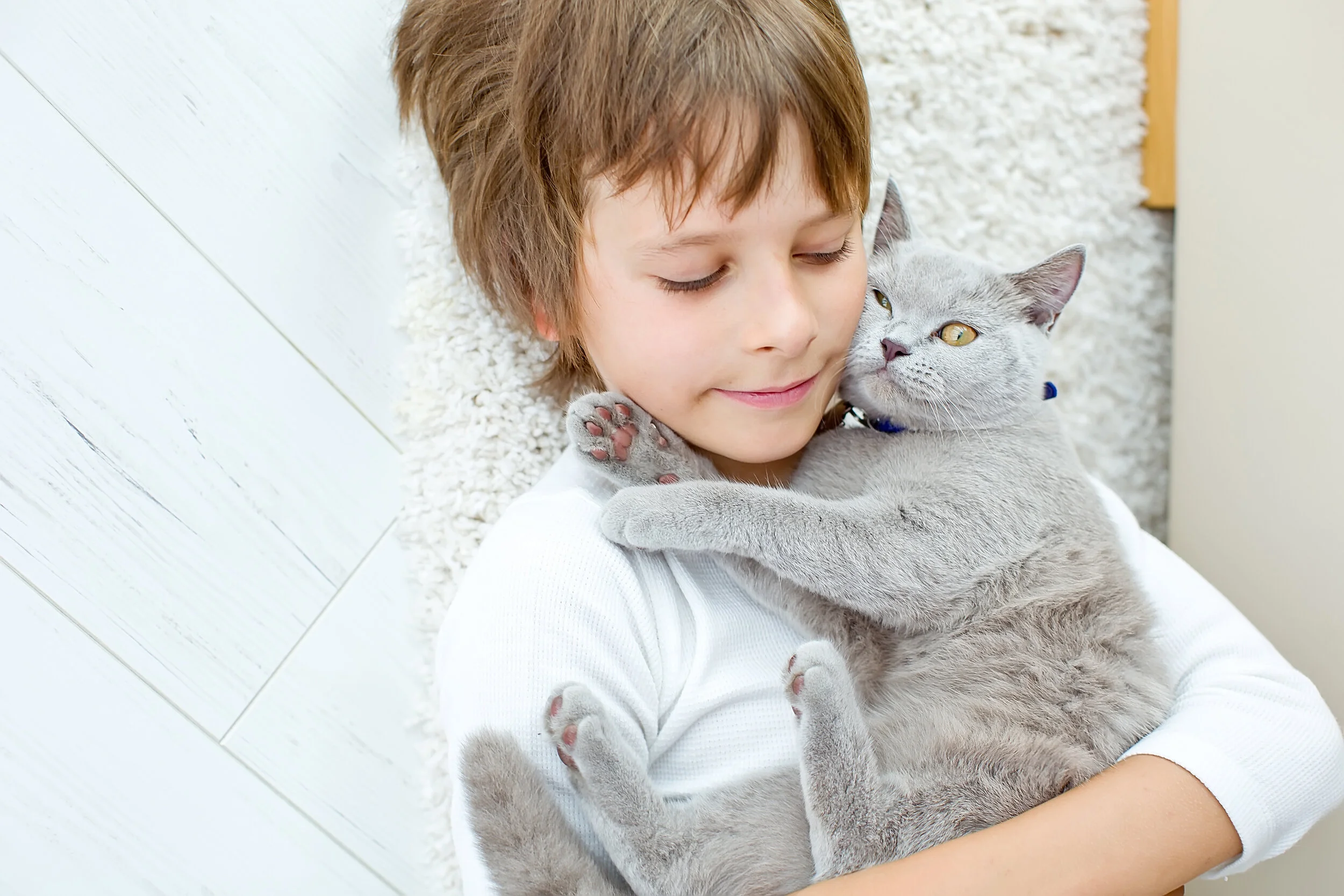 The Boy Who Was A Cat