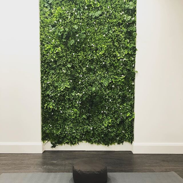 Another sneak peak at our 2nd clinic - where health meets wellness. Here&rsquo;s a glimpse inside our meditation and yoga studio. 
#notyouraveragedoctorsoffice 
#meditation #yoga #calm #greenwall