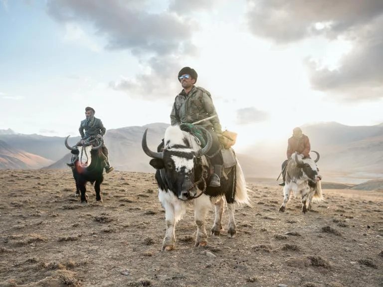 In the Wakhan corridor, Sidol (left), Jumagul (center), and Assan Khan (right) return on their yaks. by MATTHIEU PALEY