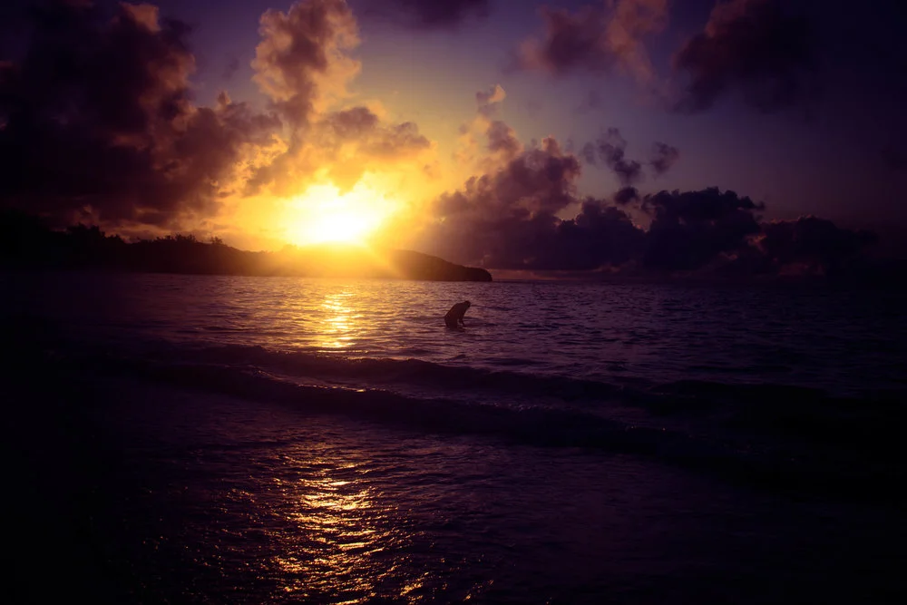 OWMSunrise.jpg