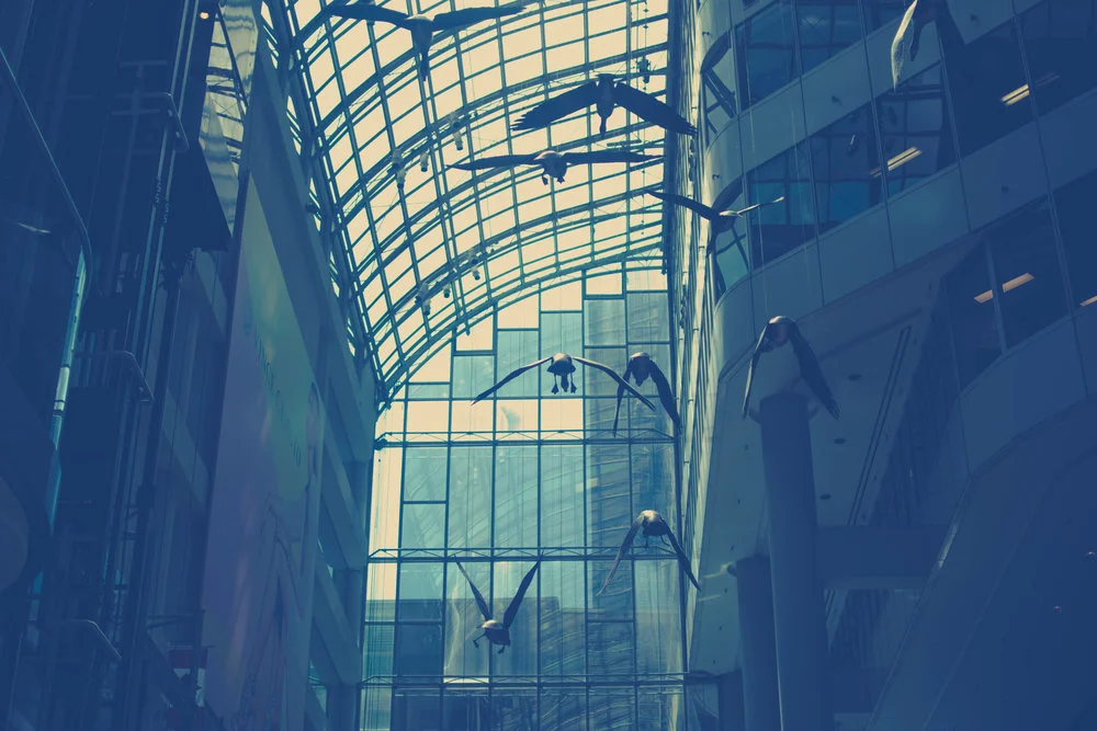 Toronto+Mall.jpg