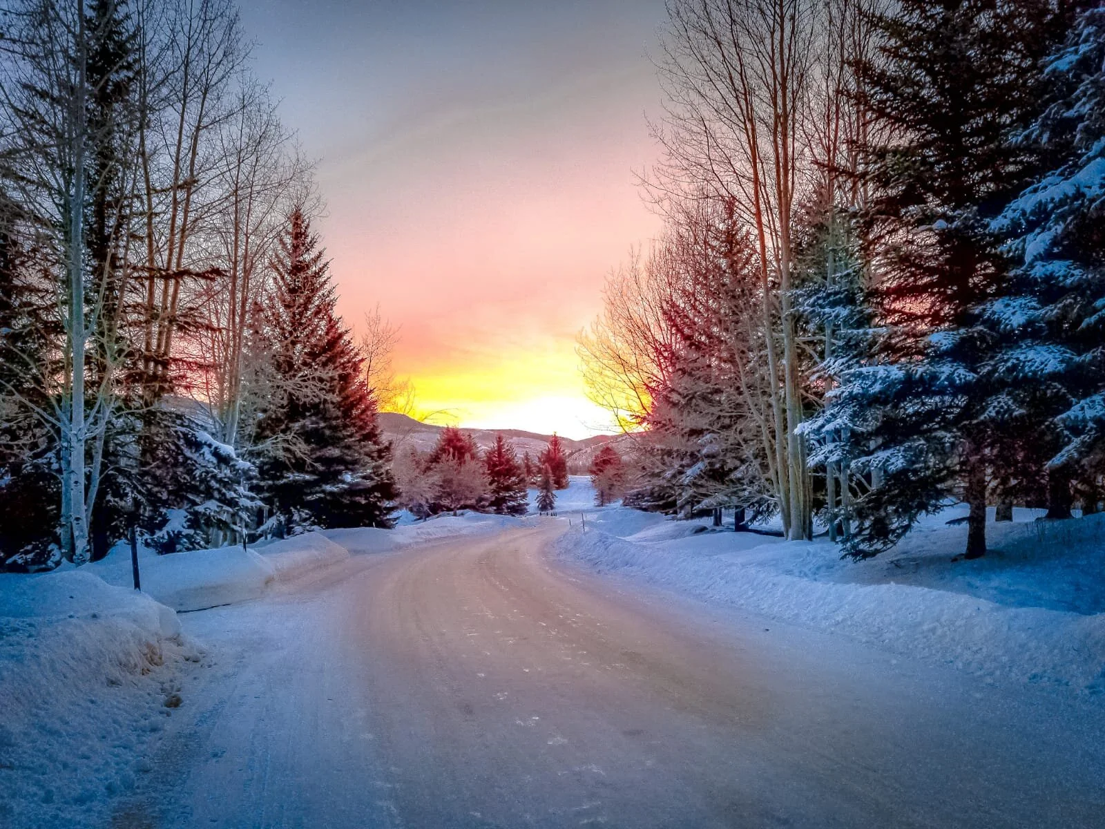 WhatsApp Image 2020-01-20 at 7.07.51 PM.jpeg