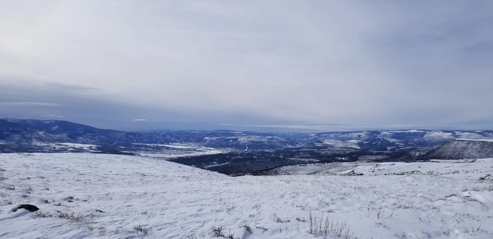 WhatsApp Image 2020-04-01 at 7.44.31 PM (1).jpeg