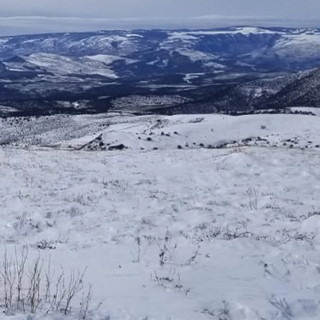 IG Colorado 1.jpg