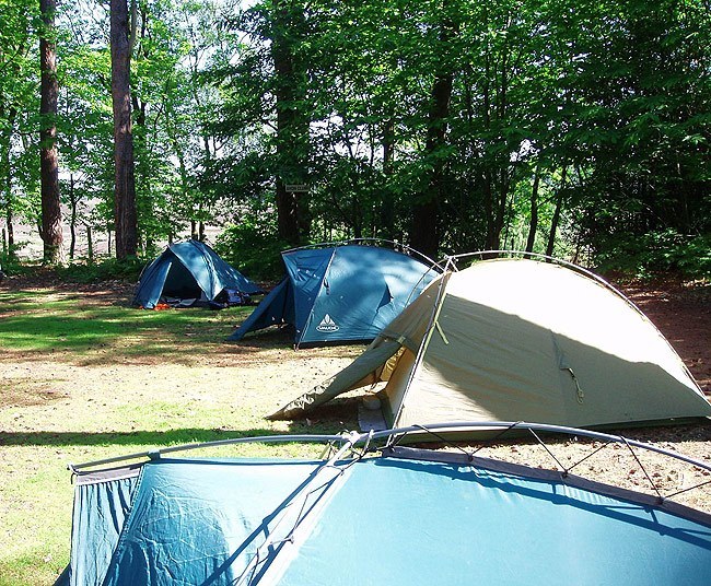 camp1.jpg