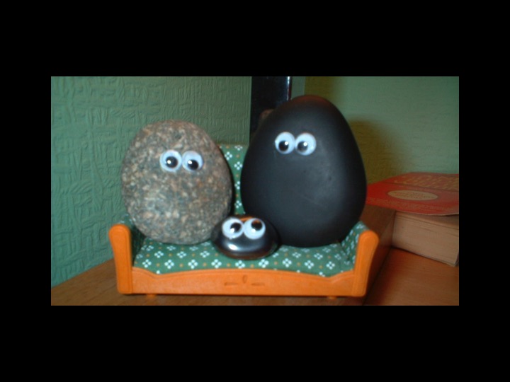 A happy family of pet rocks