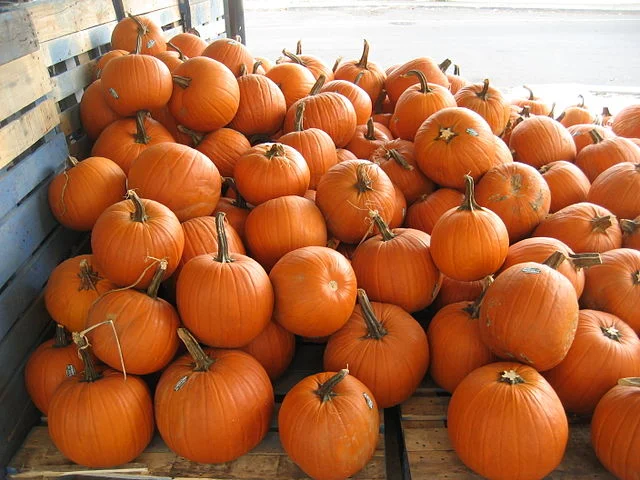 640px-FrenchMarketPumpkinsB.jpg