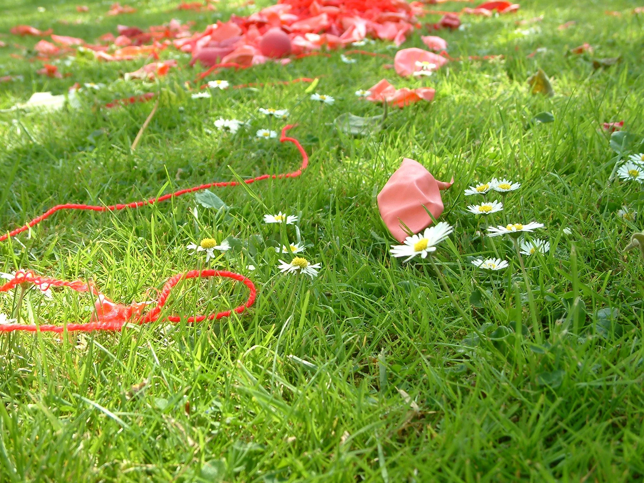 'pink elephant' project 2004.jpg