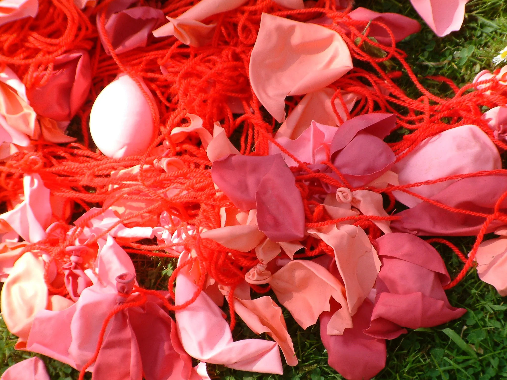 'pink elephant' project, det 2004.jpg