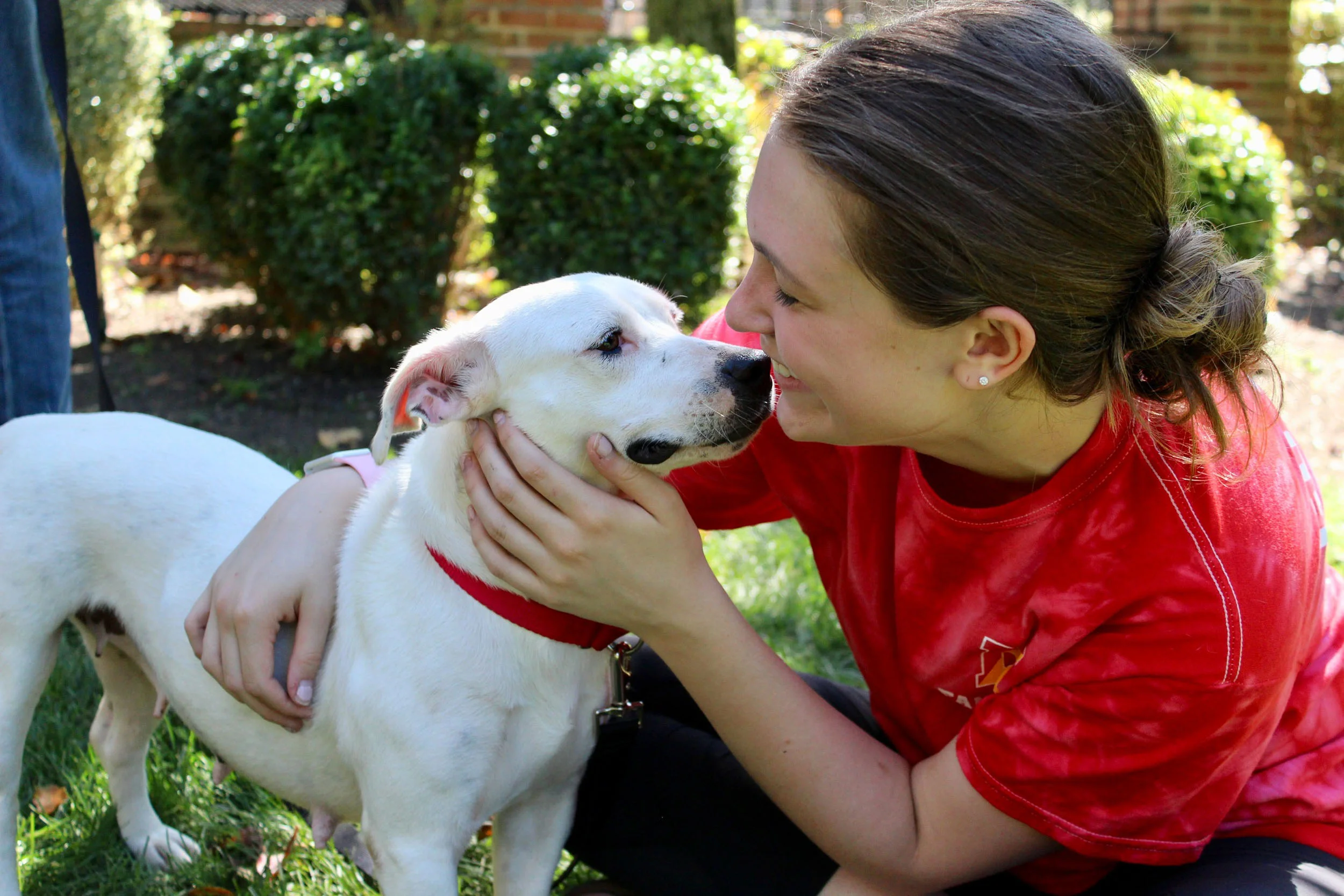 1Love4A-Adopt-Banner.jpg