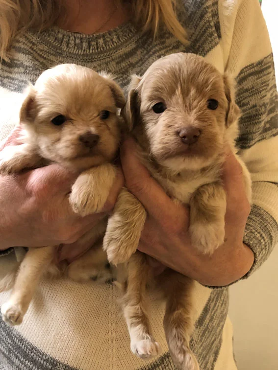 0ur Baby New Years are ready to face 2019!