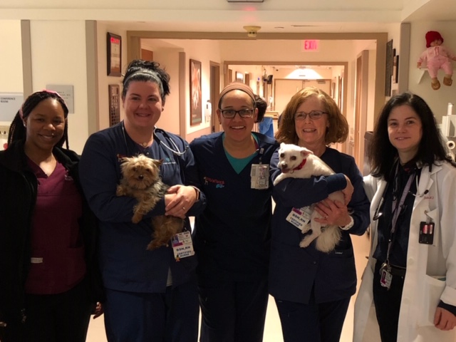 1Love4BrynMawrHosp.jpeg