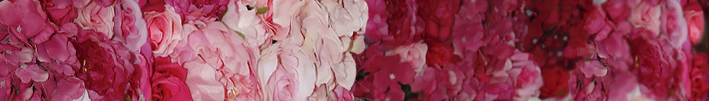 1Love4LindaEvans-BannerArt.jpg