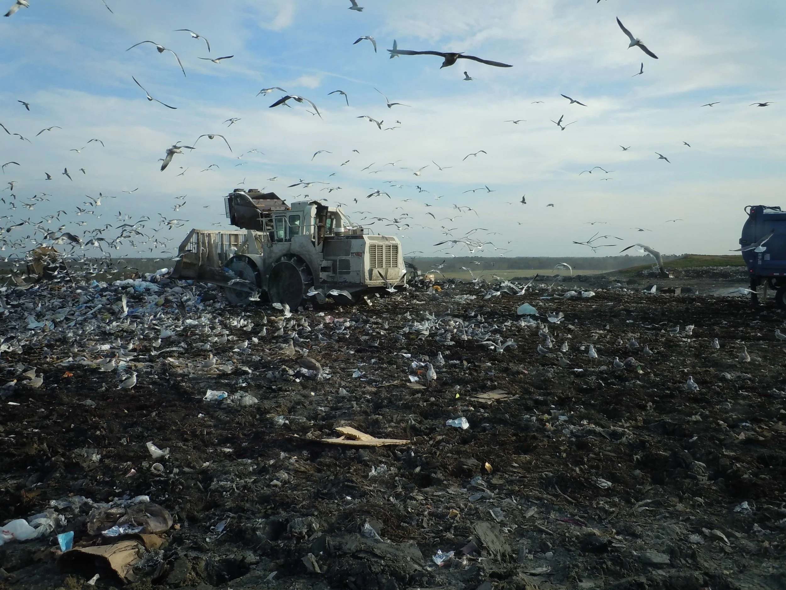 DumpsiteResearch.JPG
