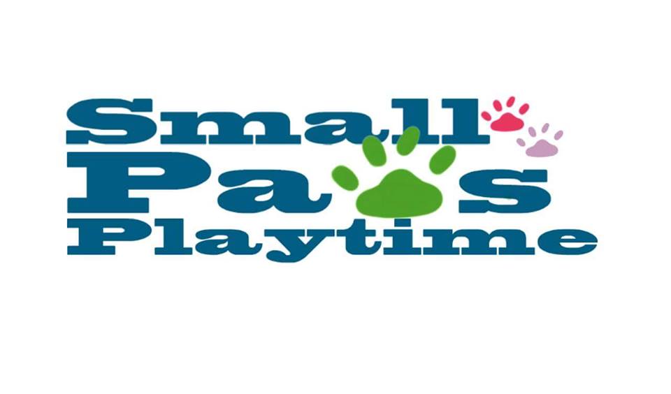 Small Paws Playtime