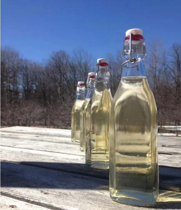bottles.jpg