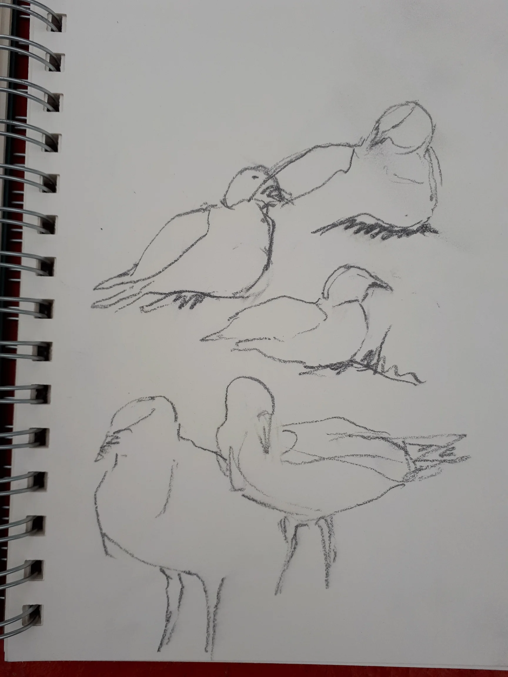 Sketches by Kaija Savinainen Mountain