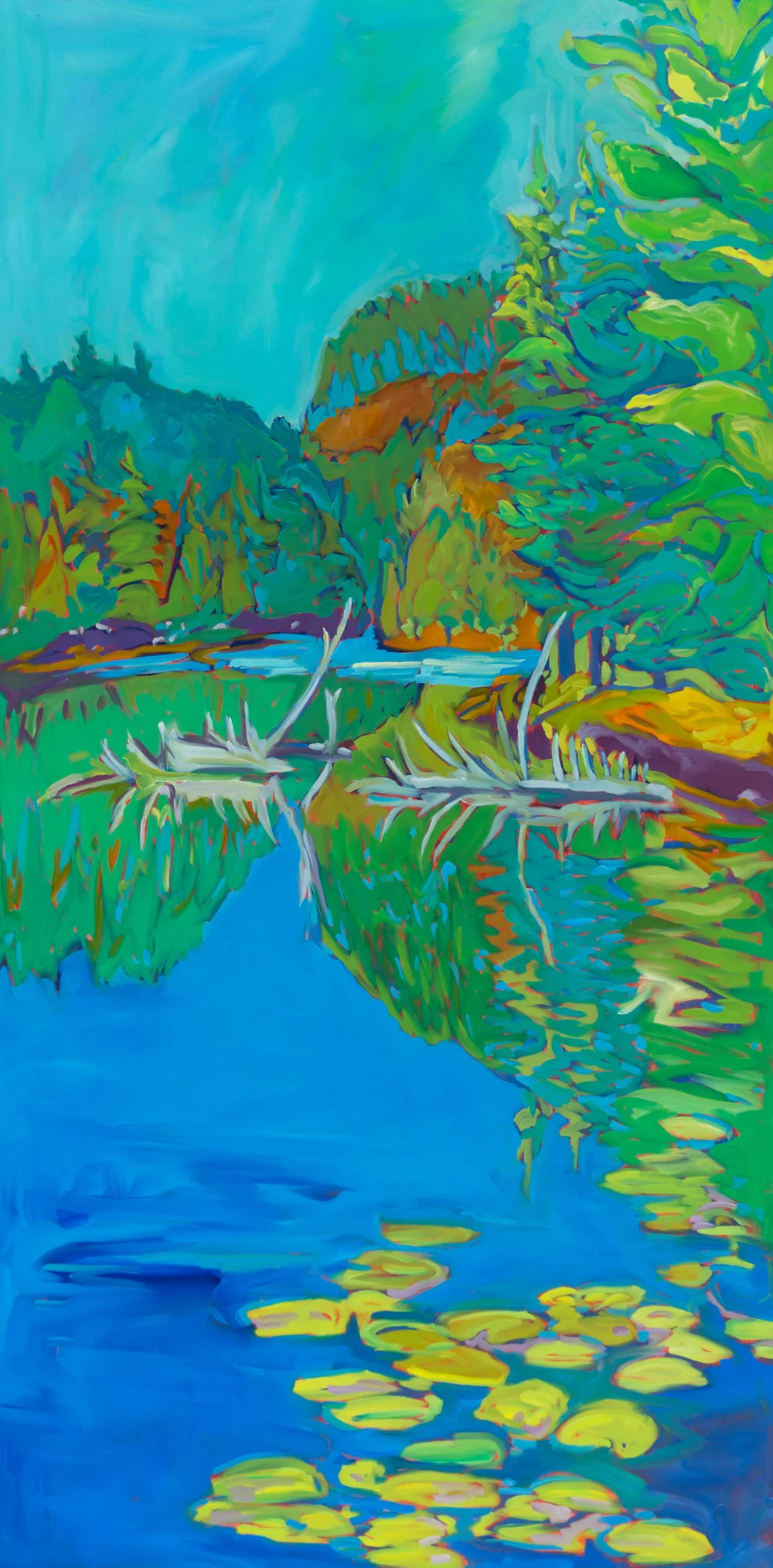 Barron River Lily Pads | 30”x60” | Oil on canvas | $3,200