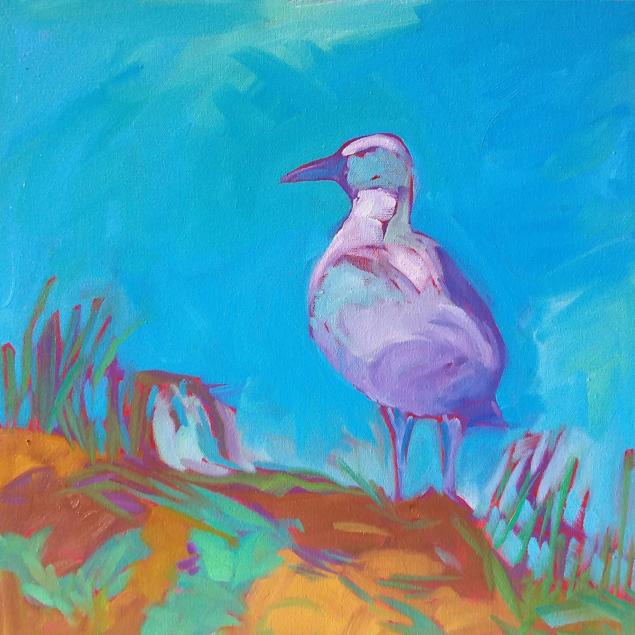 Little Gull | 14x14" | Oil on canvas | $450