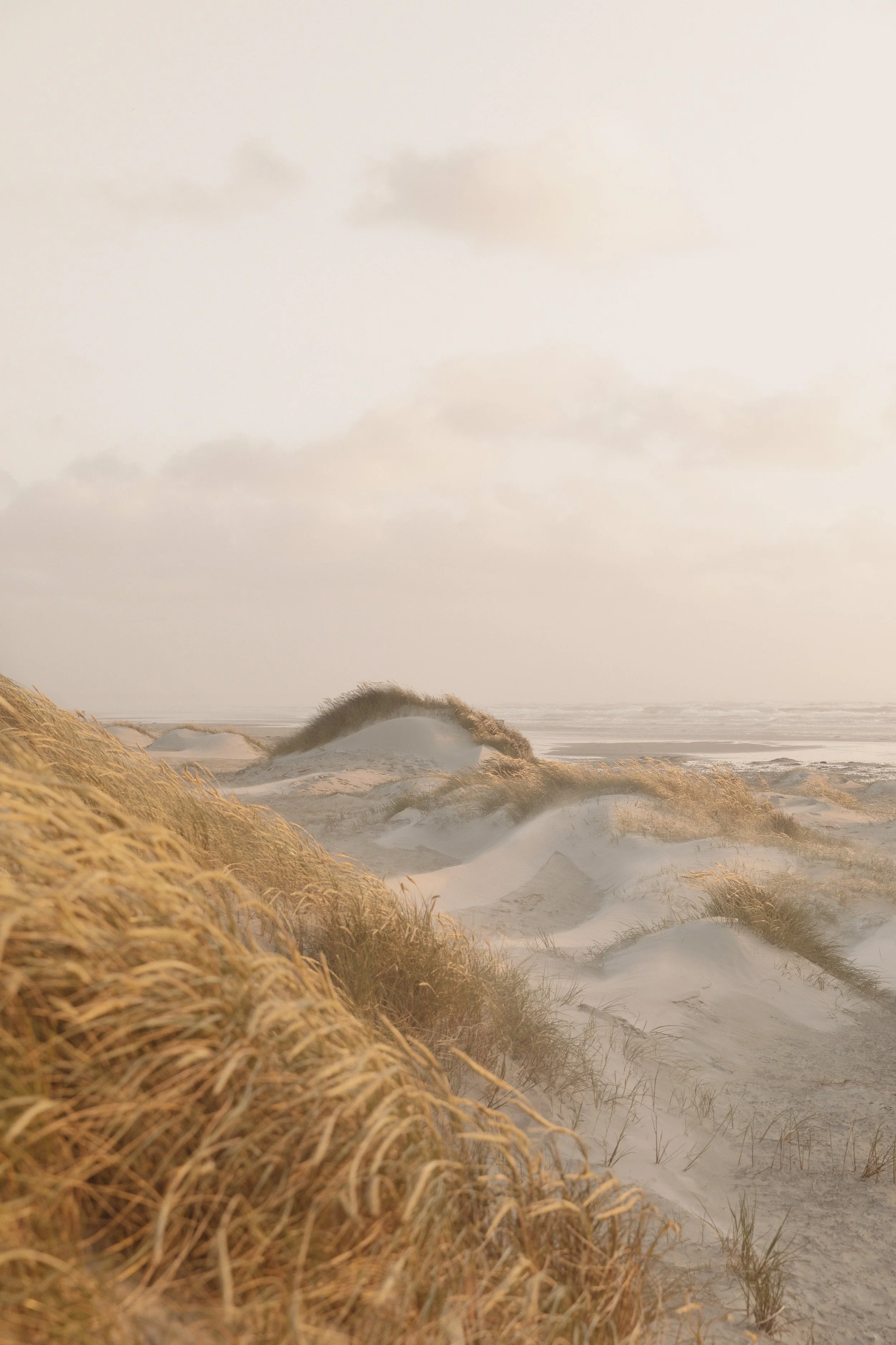 VesterhavetFINAL.jpg