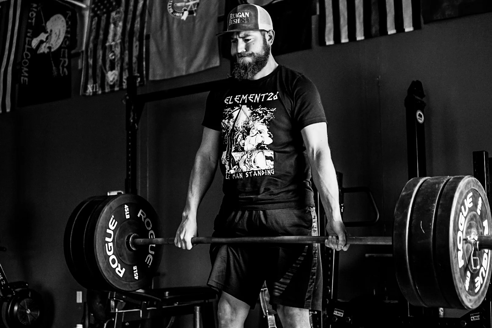 LRG_DSC08430.jpg