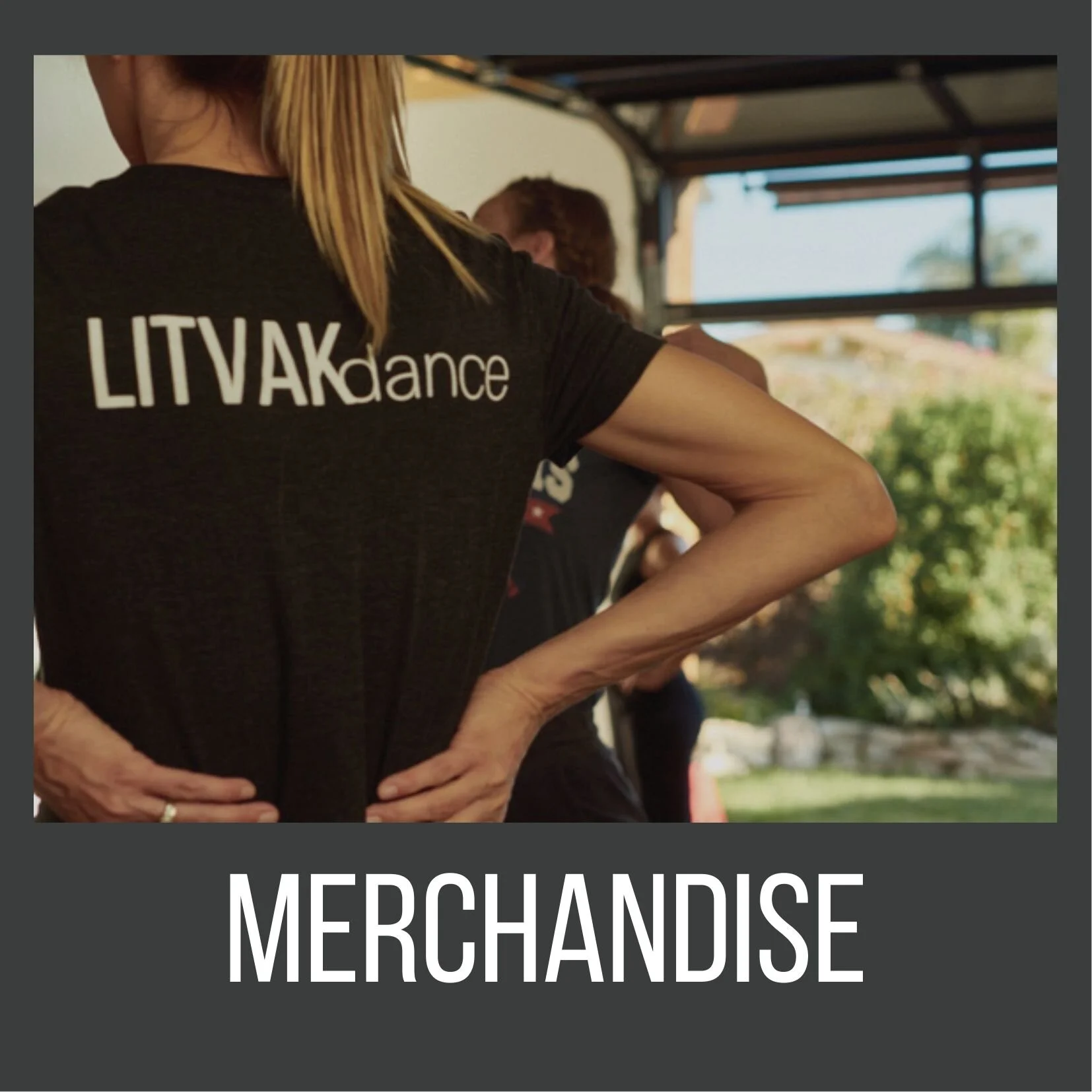 Merchandise/Concessions