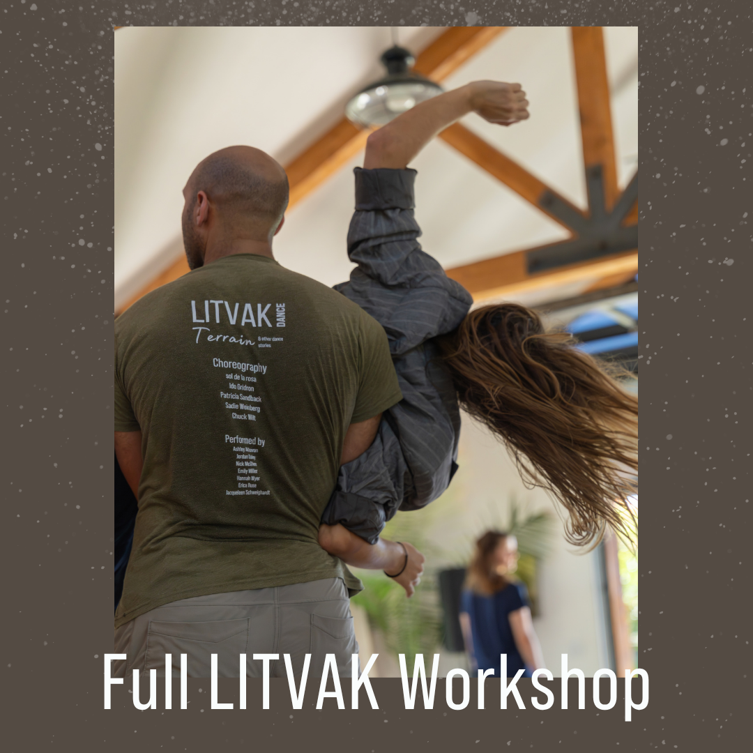 Summer Workshop w/ LITVAKdance