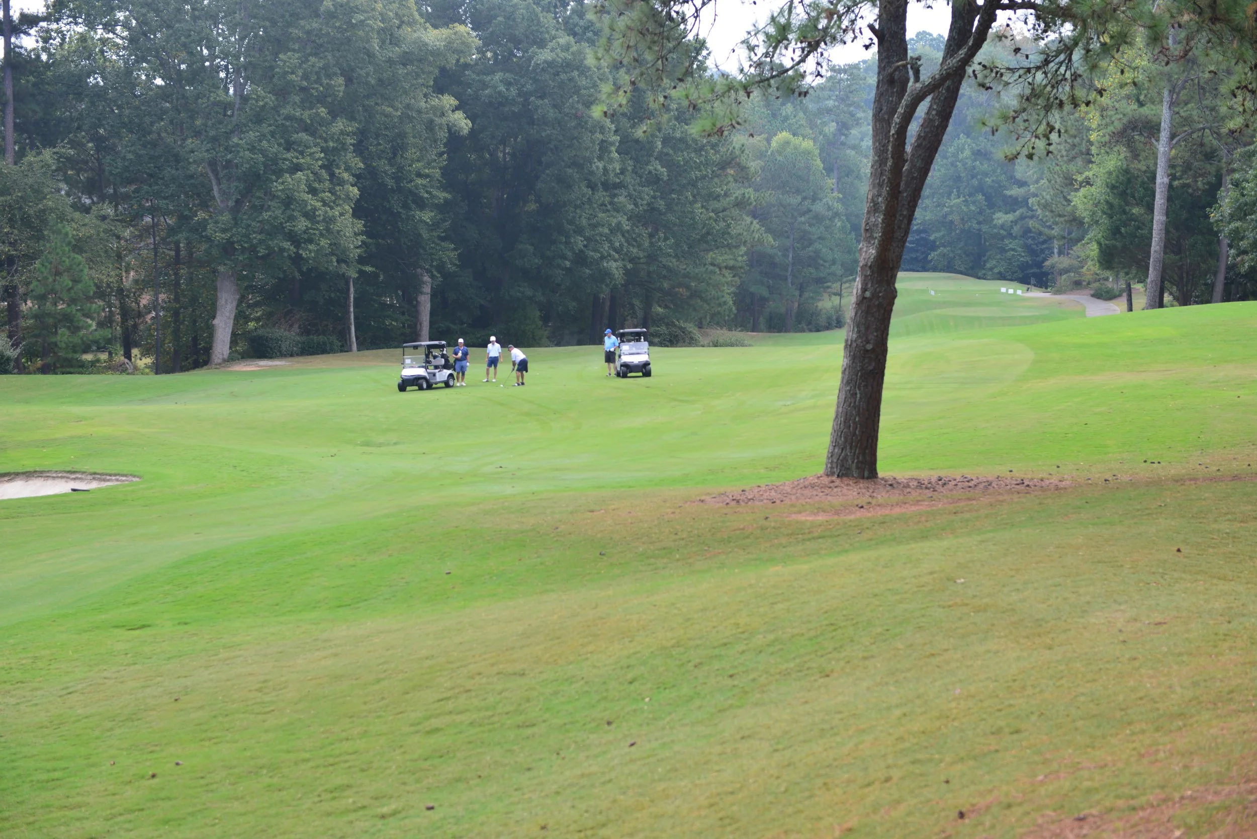 THP_0770.JPG
