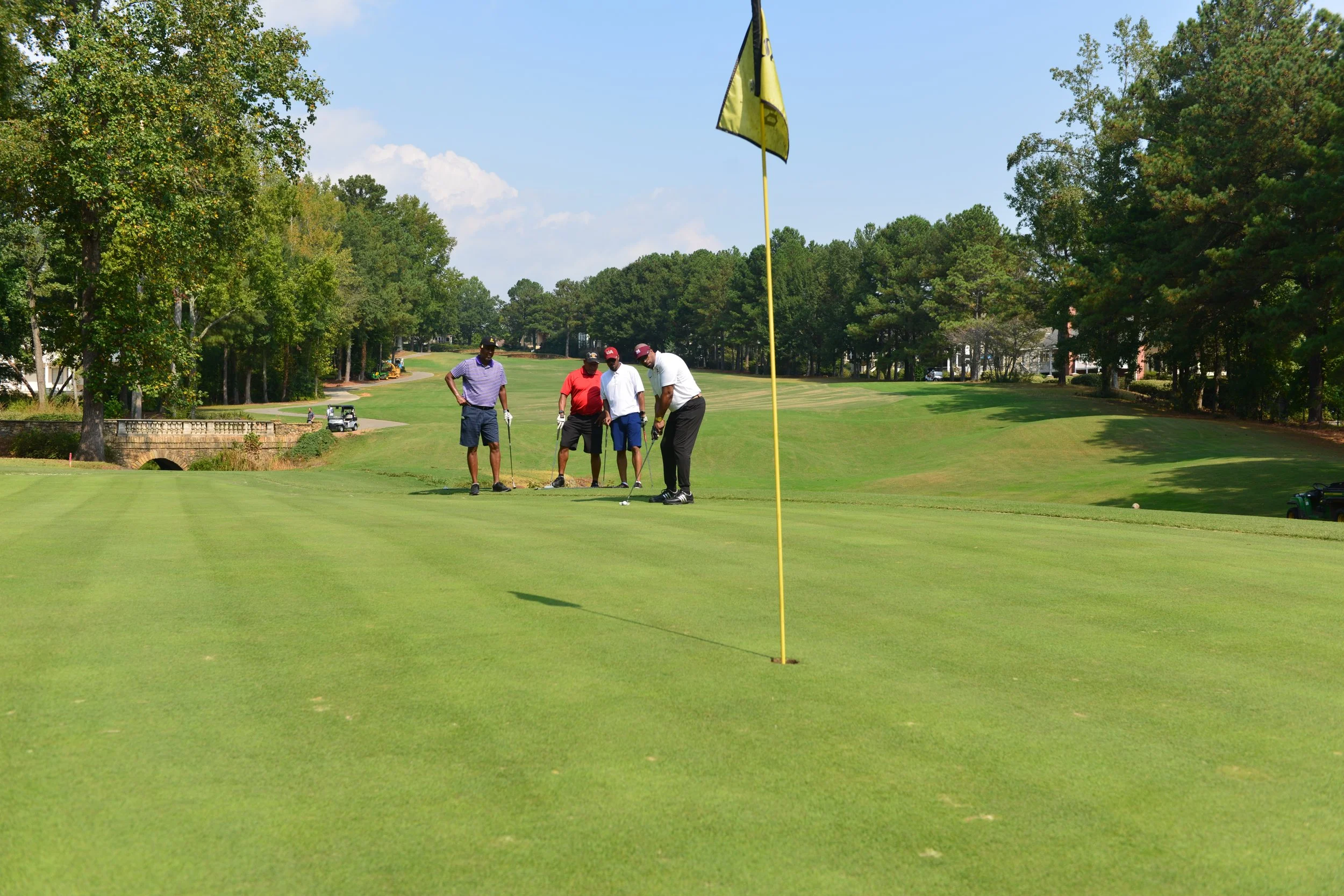 THP_0986.JPG