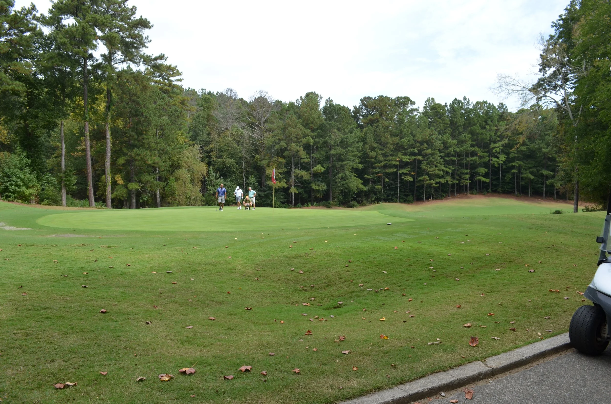 DSC_0944.JPG
